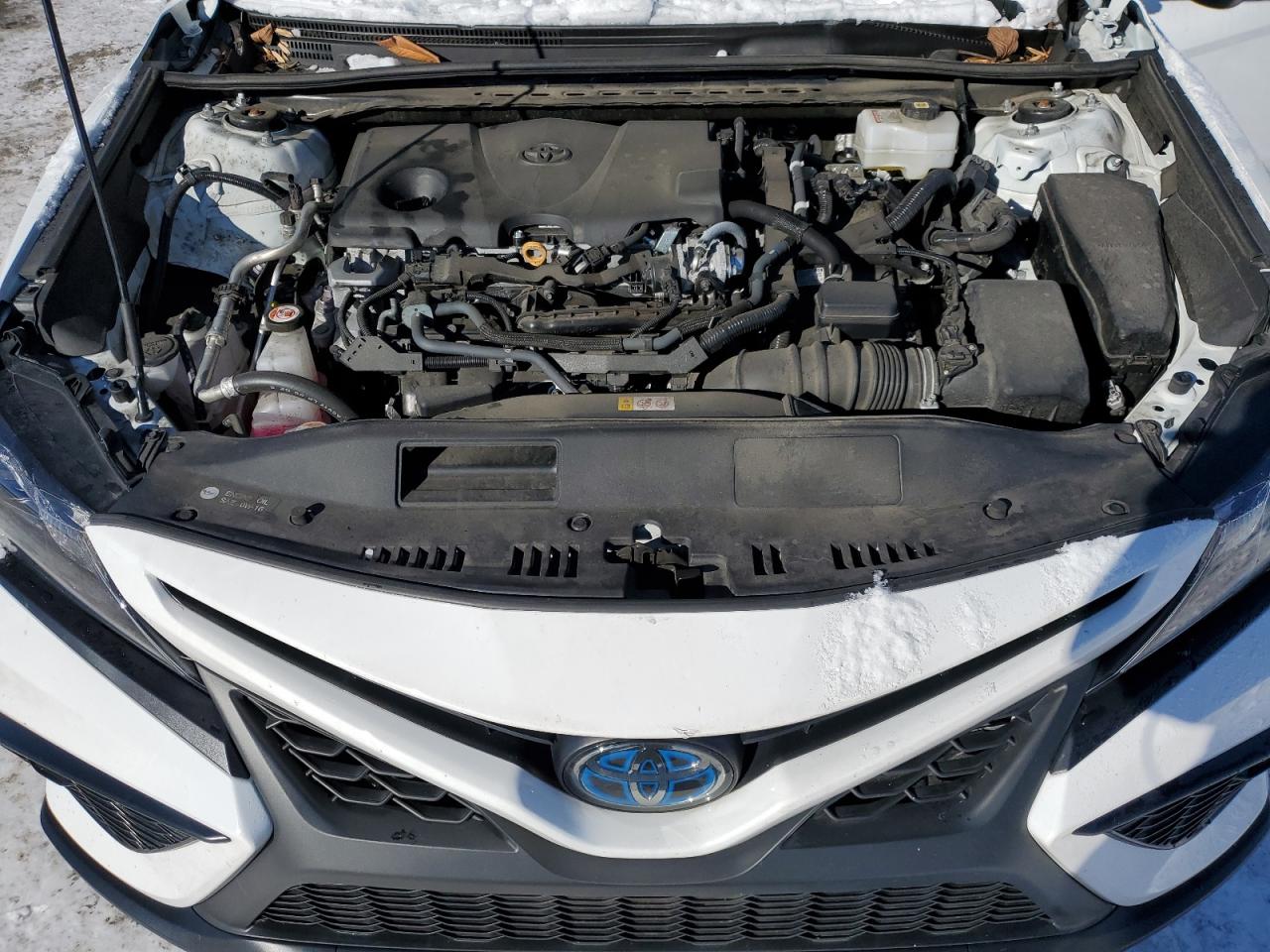 2024 TOYOTA CAMRY SE NIGHT SHADE VIN:4T1G31AK8RU060427