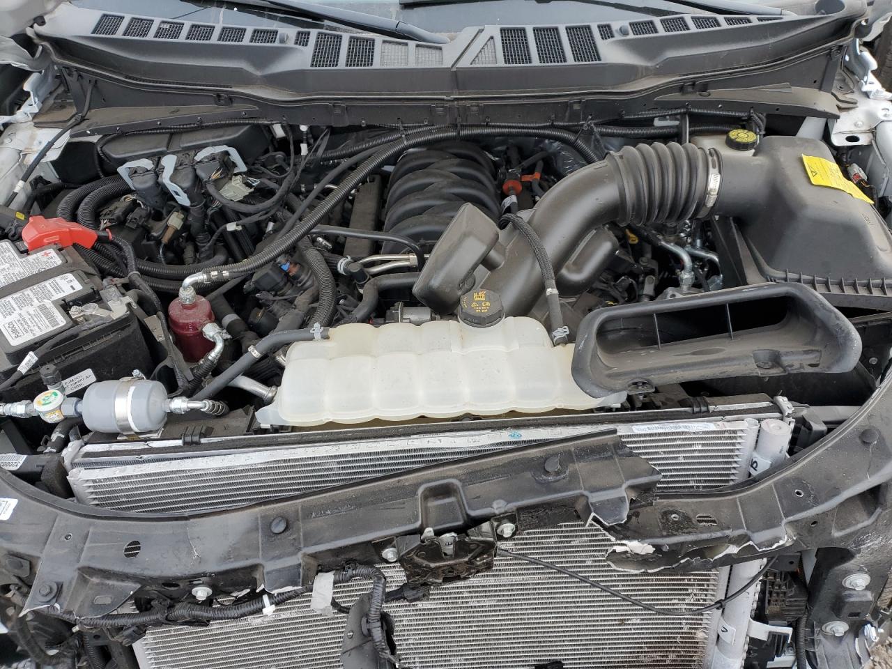 2023 FORD F150  VIN:1FTMF1C54PKF88206