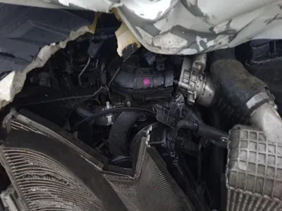 2019 Hyundai Santa FE KMHS581CBKU081567 VIN:KMHS581CBKU081567