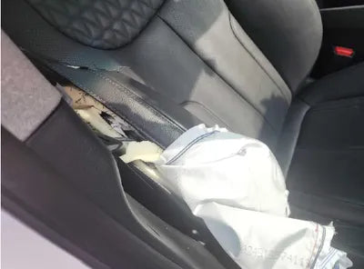 2020 Hyundai Santa FE 1KMHS381ABLU19660 VIN:1KMHS381ABLU19660