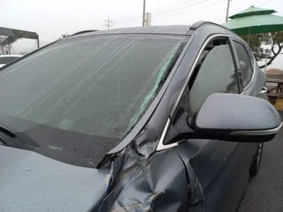 2018 Hyundai Santa FE KMHSW81UBJU852822 VIN:KMHSW81UBJU852822