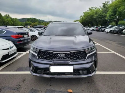 2021 Kia Sorento KNARM81BHMA053439 VIN:KNARM81BHMA053439