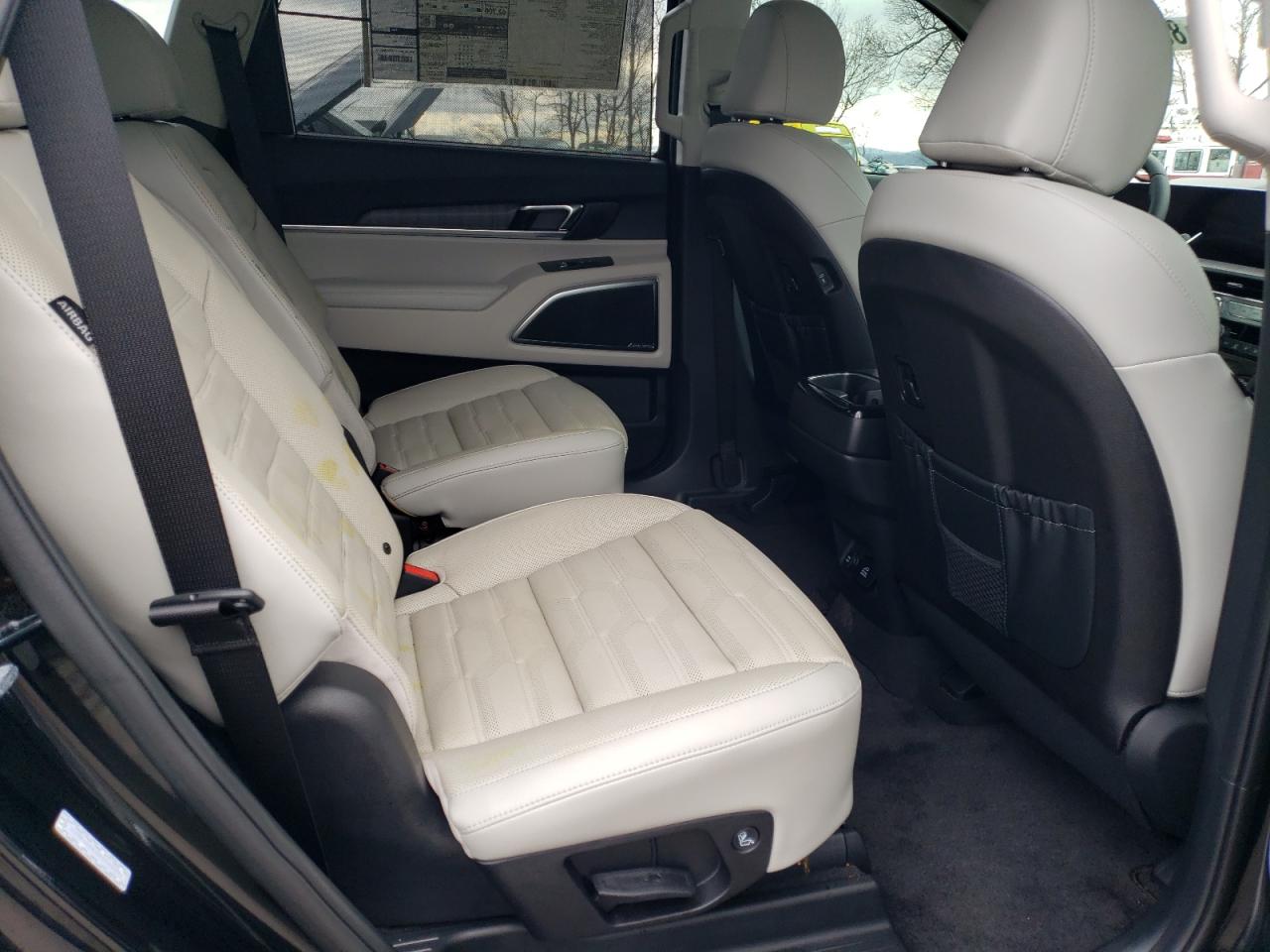 2024 KIA TELLURIDE SX VIN:5XYP5DGC3RG540392