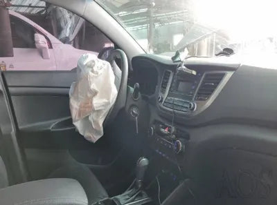 2017 Hyundai Tucson KMHJ2815GHU385676 VIN:KMHJ2815GHU385676