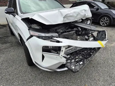 2020 Hyundai Santa FE KMHS581HGMU325237 VIN:KMHS581HGMU325237