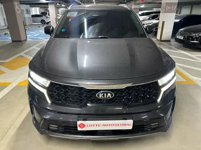 2021 Kia Sorento KNARH81BGMA049792 VIN:KNARH81BGMA049792