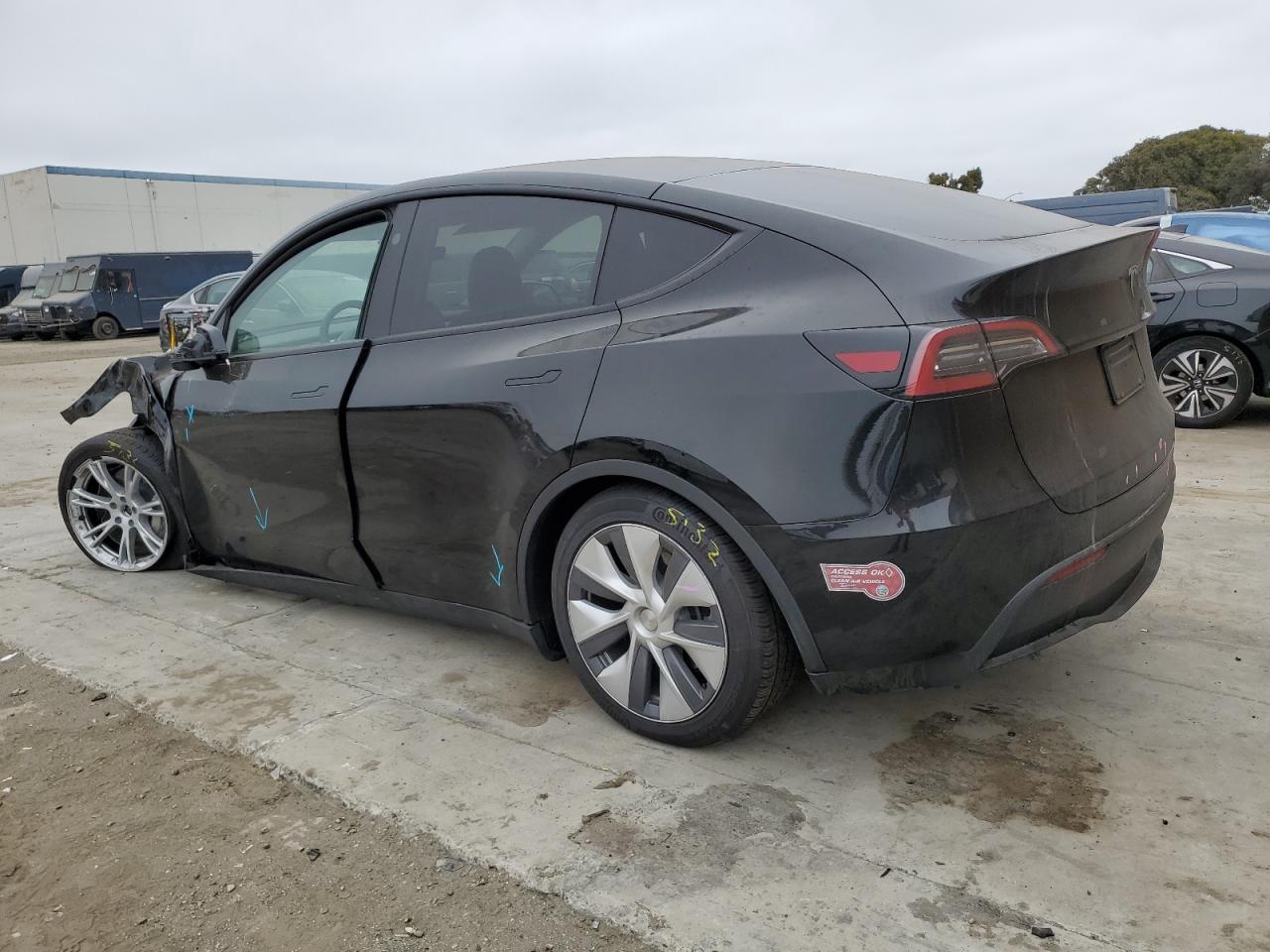 2023 TESLA MODEL Y VIN:7SAYGDEE8PF862827