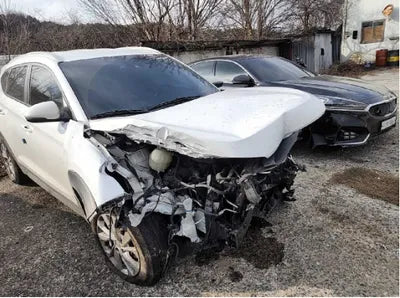 2019 Hyundai Tucson KMHJ381ADKU927566 VIN:KMHJ381ADKU927566