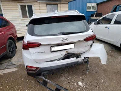 2019 Hyundai Santa FE KMHS381CBKU066794 VIN:KMHS381CBKU066794