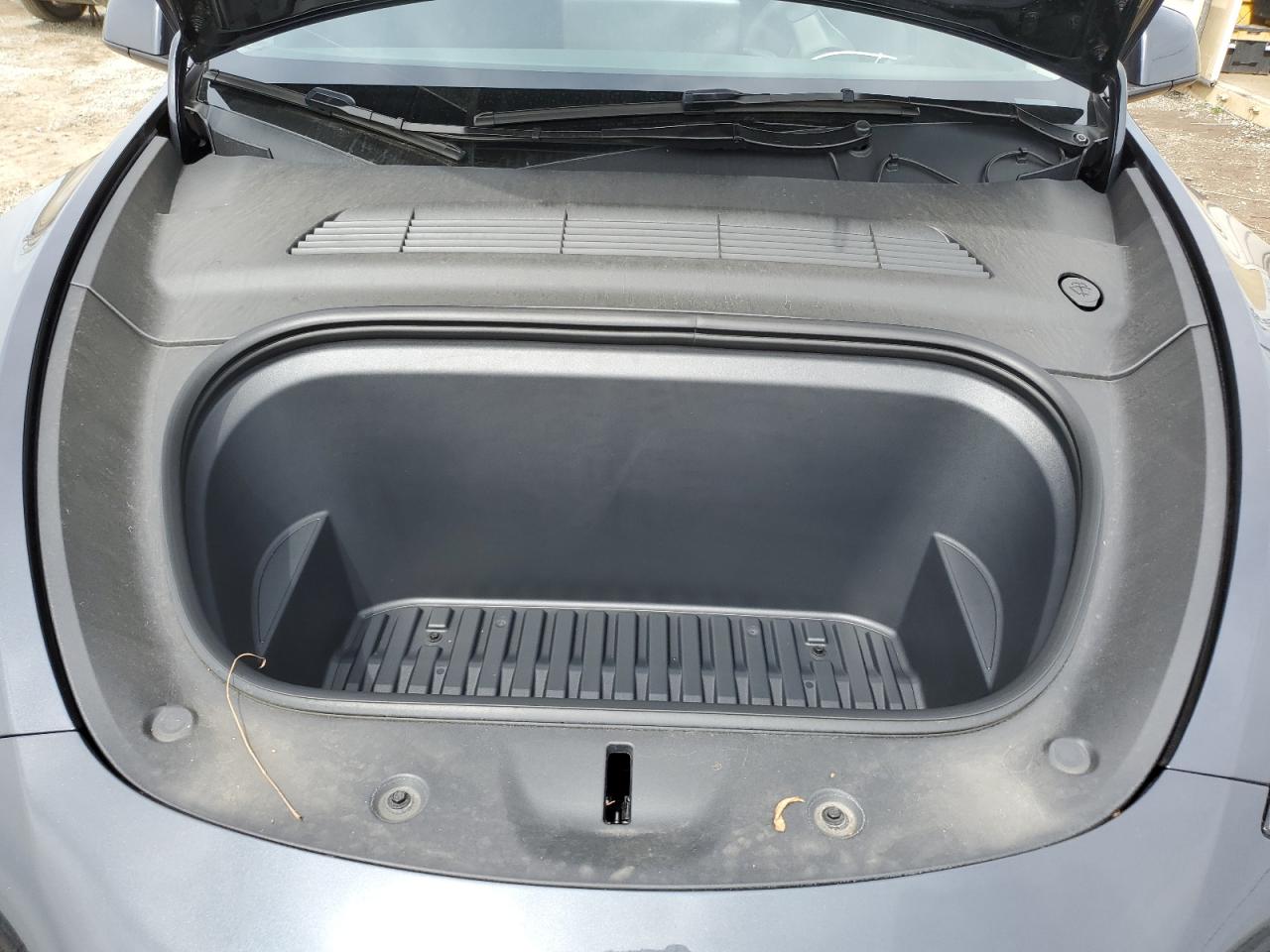 2024 TESLA MODEL Y  VIN:7SAYGDEE8RF060376