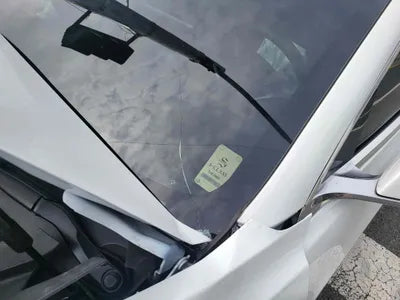 2020 Tesla Model 3 5YJ3E1EBXLF692496 VIN:5YJ3E1EBXLF692496