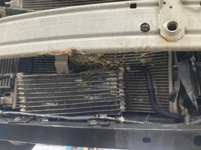 2016 nissan cashkai VIN: