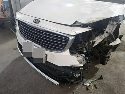 2018 Kia Carnival KNAMB81ABJS431294 VIN:KNAMB81ABJS431294