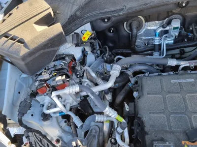 2019 Hyundai Kona KMHK381GFKU056455 VIN:KMHK381GFKU056455
