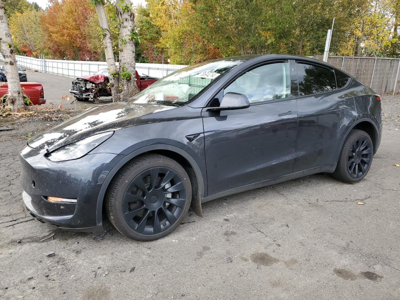 2024 TESLA MODEL Y  VIN:7SAYGAEE8RF004842