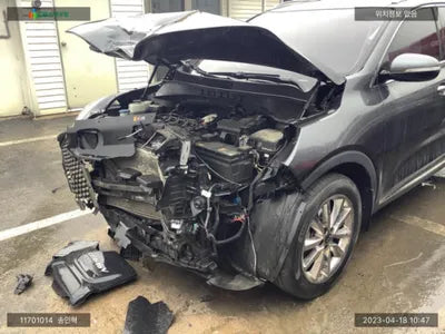 2017 Kia Sorento KNAPS81ABHA376524 VIN:KNAPS81ABHA376524