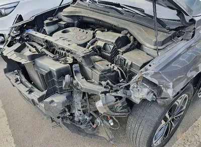 2019 Hyundai Santa FE KMHS381ABKU120945 VIN:KMHS381ABKU120945