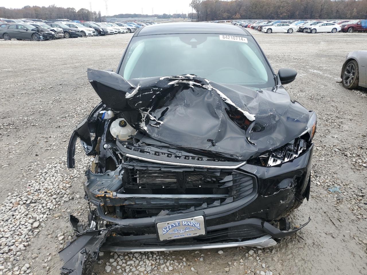 2023 FORD ESCAPE ACTIVE VIN:1FMCU0GN7PUB32626