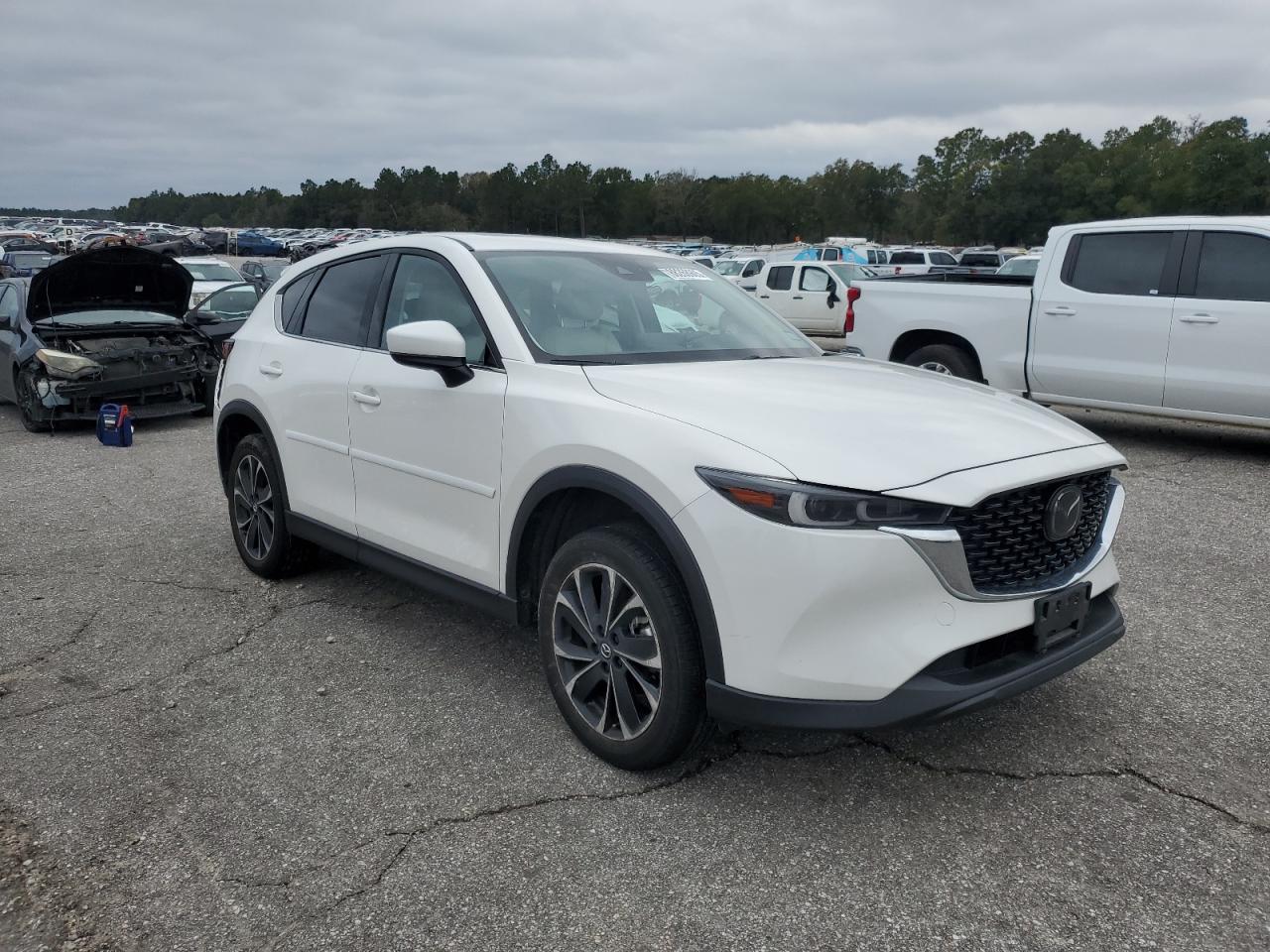 2023 MAZDA CX-5 PREMIUM VIN:JM3KFBDM1P0131584