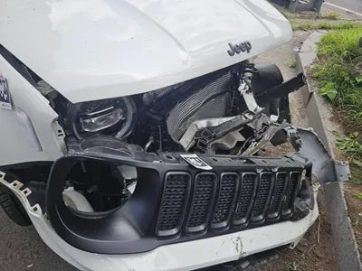 2021 Jeep Renegade 1C4NJDDB7MPN02006 VIN:1C4NJDDB7MPN02006