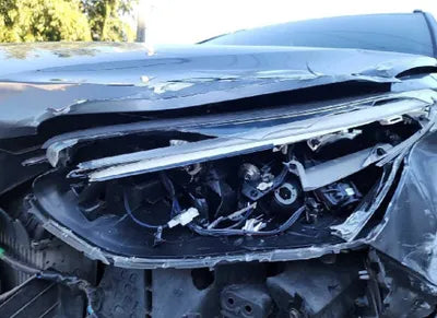 2017 Hyundai Santa FE KMHSW81UBHU720862 VIN:KMHSW81UBHU720862