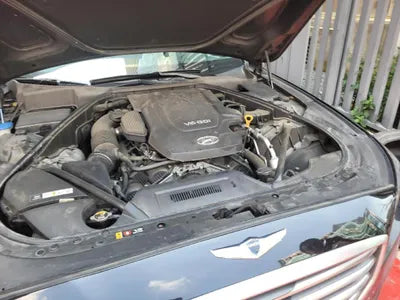 2015 acupuncture nessis 3.3 VIN: