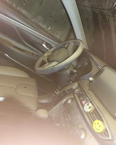 2019 Hyundai Santa FE KMHS381ABKU102827 VIN:KMHS381ABKU102827