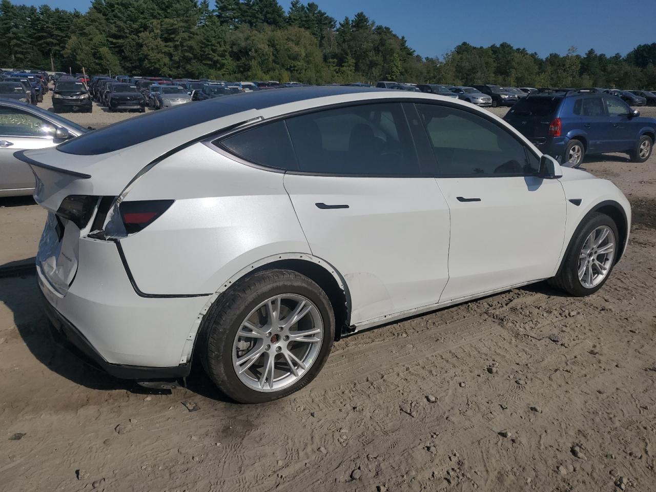 2023 TESLA MODEL Y  VIN:7SAYGDEE1PA145859