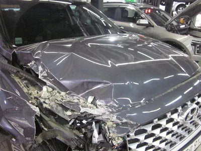 2020 Hyundai Santa FE KMHS381HGMU333983 VIN:KMHS381HGMU333983