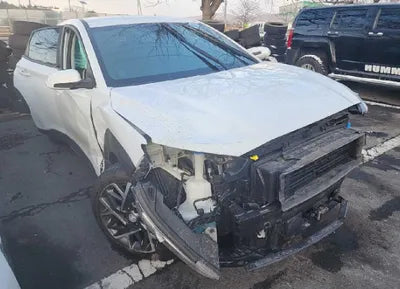 2020 Hyundai Kona KMHK381EGLU036622 VIN:KMHK381EGLU036622