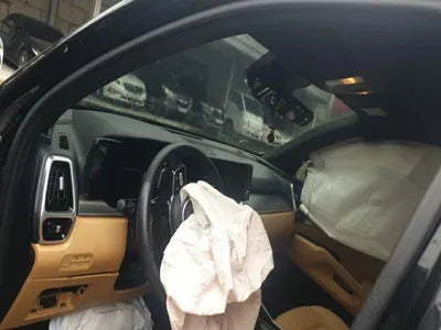 2021 Kia Sorento KNARH81BGMA076817 VIN:KNARH81BGMA076817