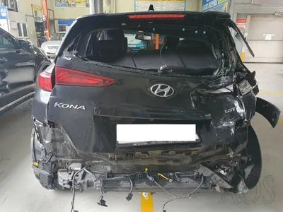 2019 Hyundai Kona KMHK4815GKU354787 VIN:KMHK4815GKU354787