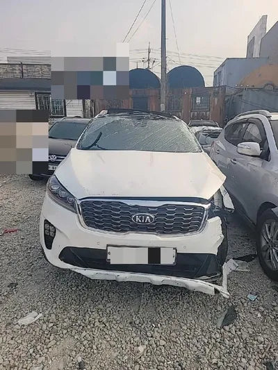 2019 Kia Sorento KNAPH81BBLA612488 VIN:KNAPH81BBLA612488