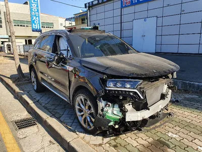 2021 Kia Sorento KNARH81FGMA078773 VIN:KNARH81FGMA078773