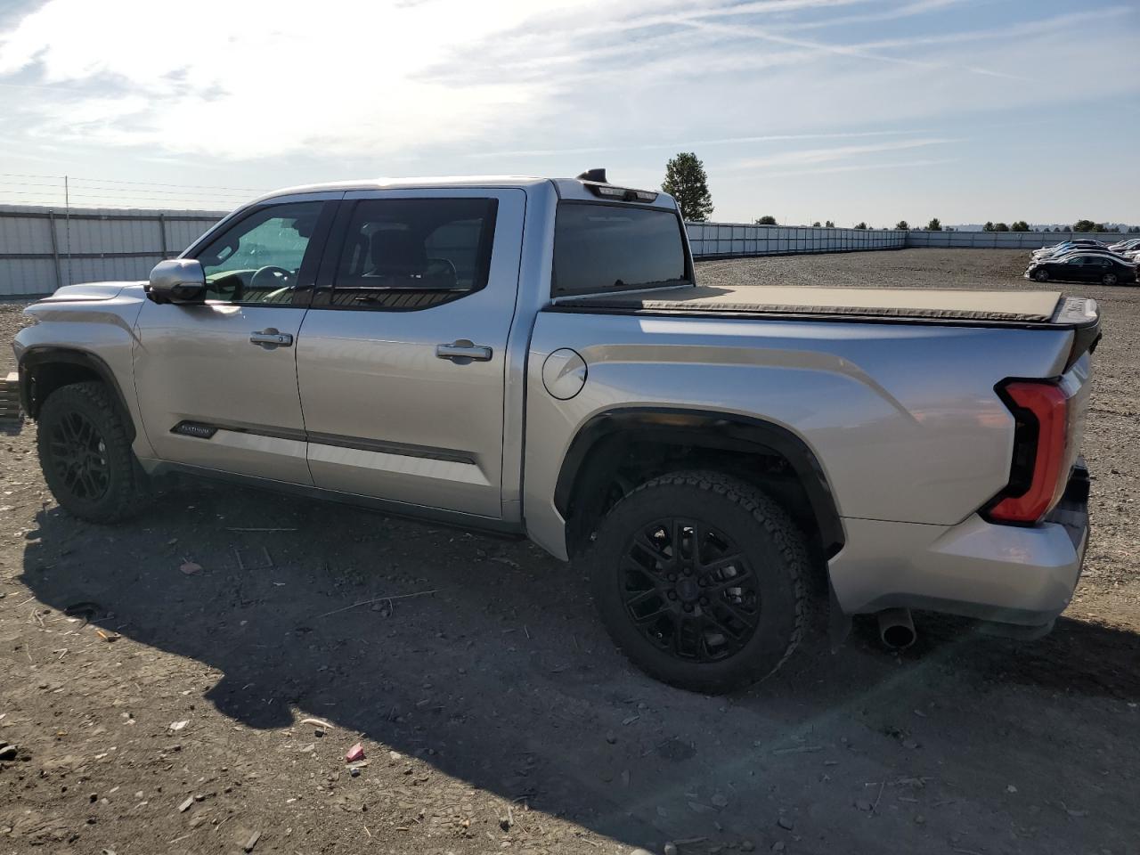 2023 TOYOTA TUNDRA CREWMAX PLATINUM VIN:5TFNA5DB4PX125709