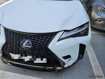 2020 Lexus UX 250 VIN: