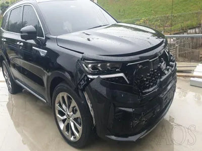 2021 Kia Sorento KNARH81BGMA076817 VIN:KNARH81BGMA076817