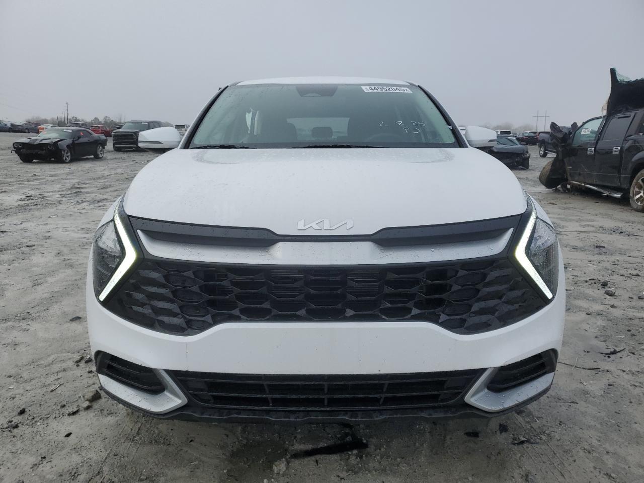 2023 KIA SPORTAGE EX VIN:5XYK33AF6PG072877