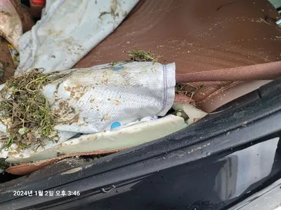 2023 Genesis G80 VIN: