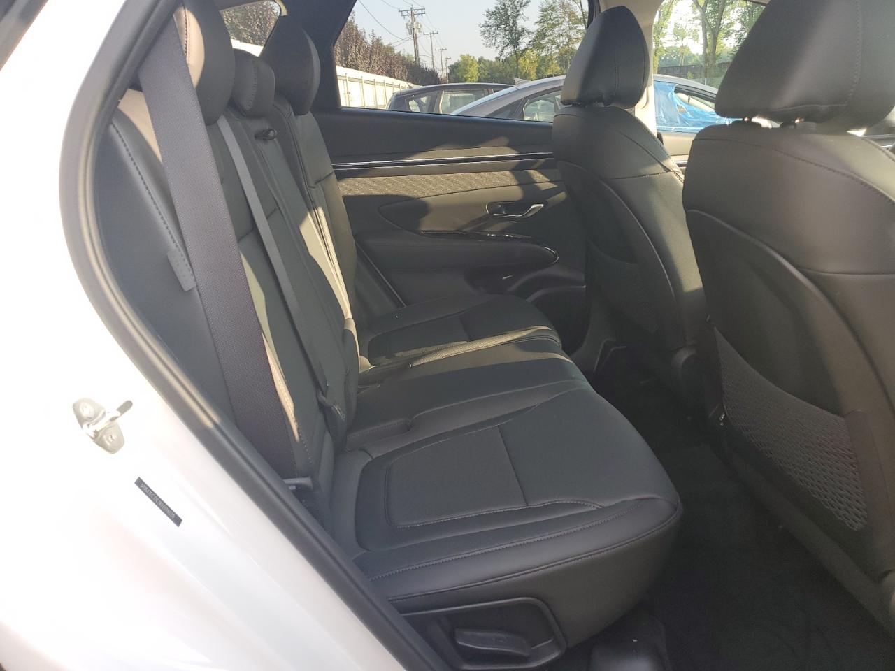 2024 HYUNDAI TUCSON LIMITED VIN:5NMJECDE2RH394028