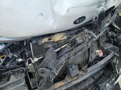2021 Kia Carnival KNANC81BBMS004700 VIN:KNANC81BBMS004700