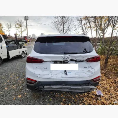 2019 Hyundai Santa FE KMHS381CDKU015039 VIN:KMHS381CDKU015039