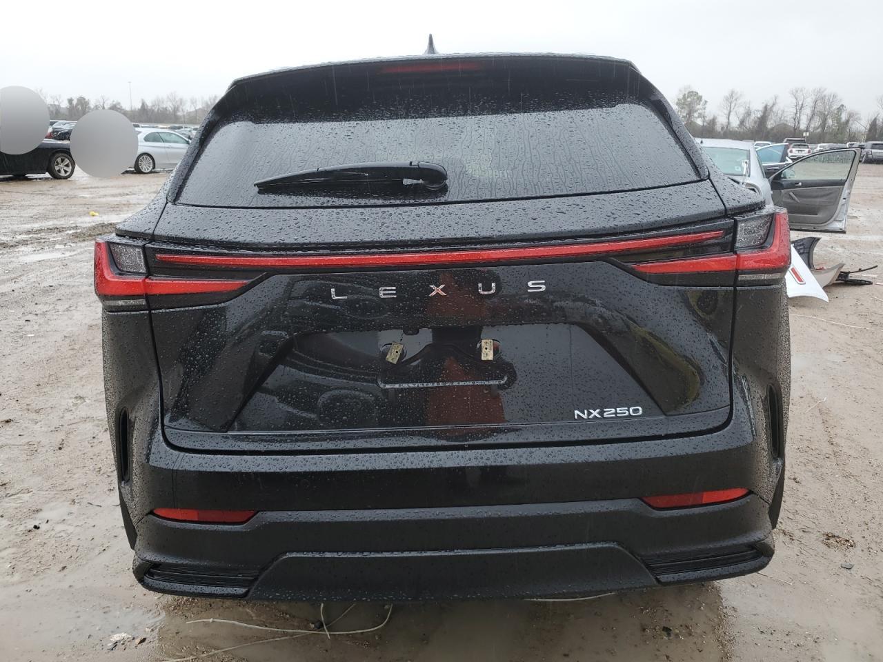 2024 LEXUS NX 250 PREMIUM VIN:2T2GDCAZ8RC014499