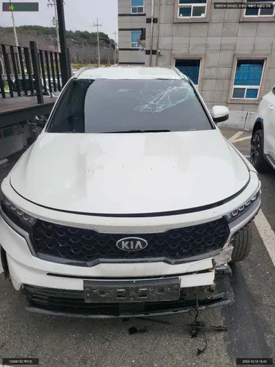2021 Kia Sorento KNARL81BGMA090580 VIN:KNARL81BGMA090580