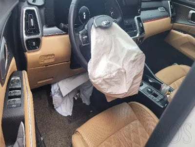 2021 Kia Sorento KNARG81GDMA005918 VIN:KNARG81GDMA005918