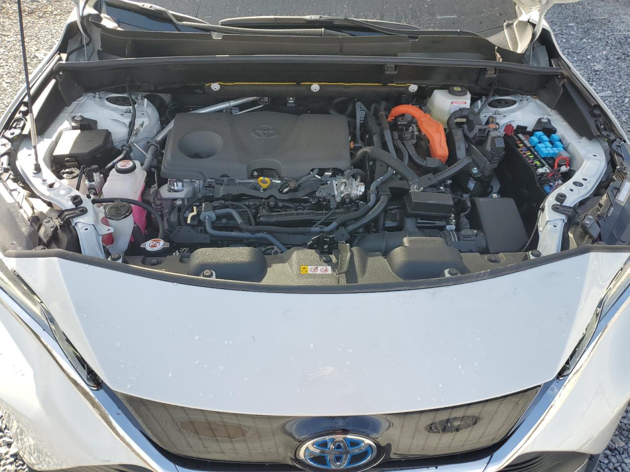 2024 TOYOTA VENZA LE VIN:JTEAAAAH7RJ191561