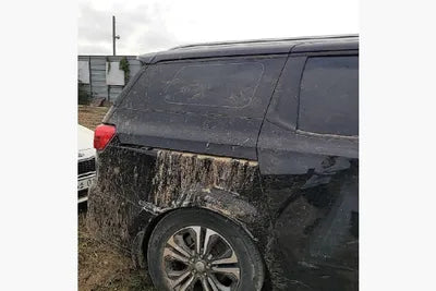 2019 Kia Carnival KNAMB81ABKS567289 VIN:KNAMB81ABKS567289