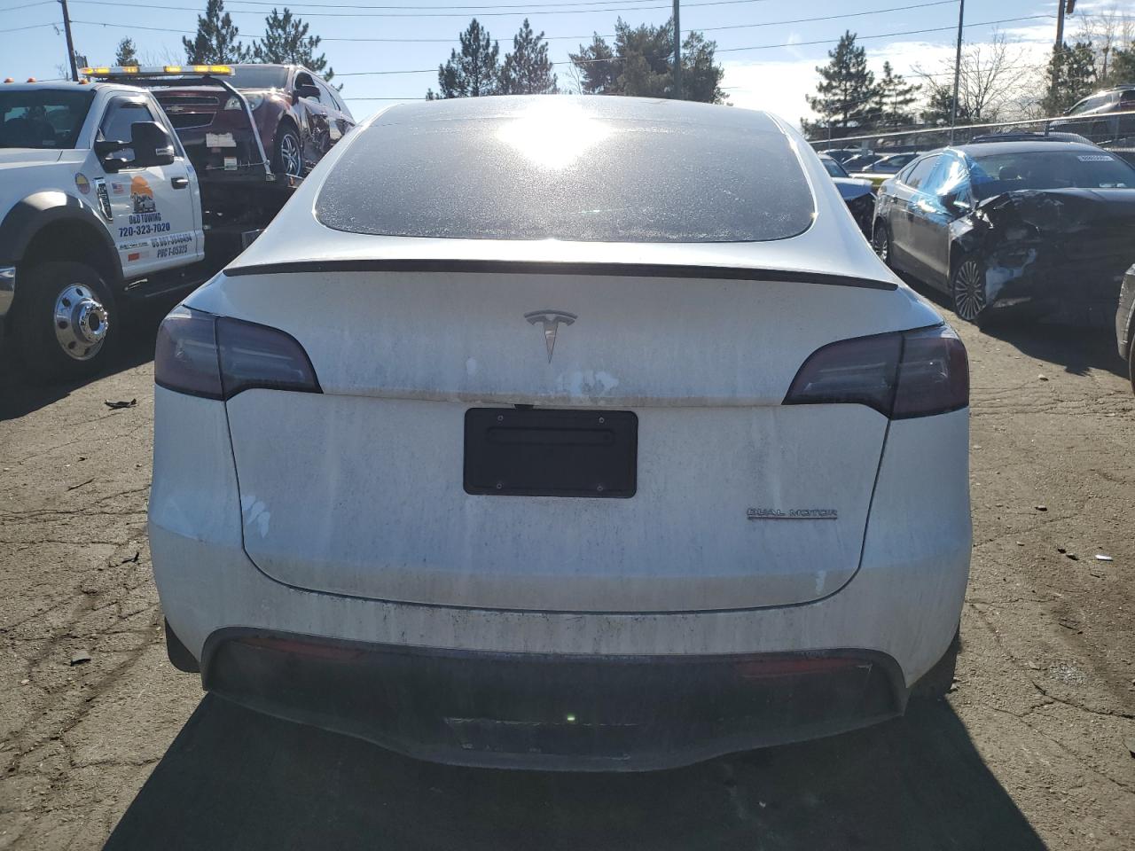 2024 TESLA MODEL Y  VIN:7SAYGDEF8RF019769