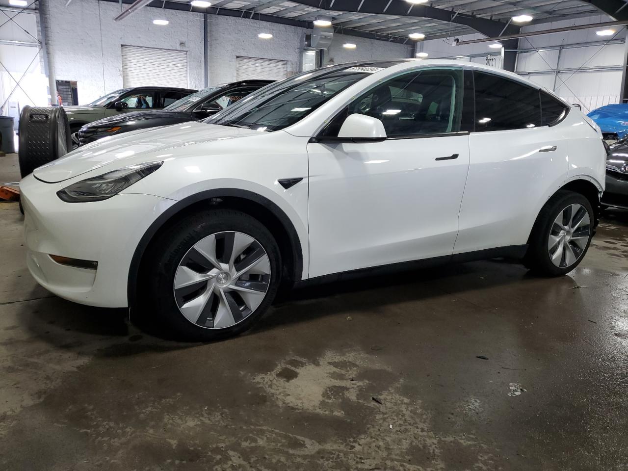 2023 TESLA MODEL Y  VIN:7SAYGDEE6PF599379