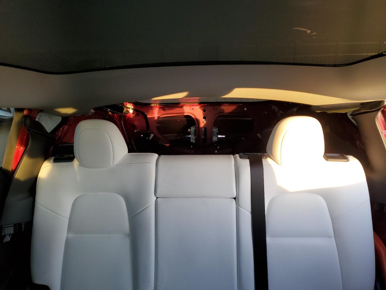 2023 TESLA MODEL Y  VIN:7SAYGDEE0PF834942